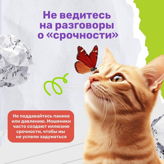 foto 2025 04 25 08 55 002