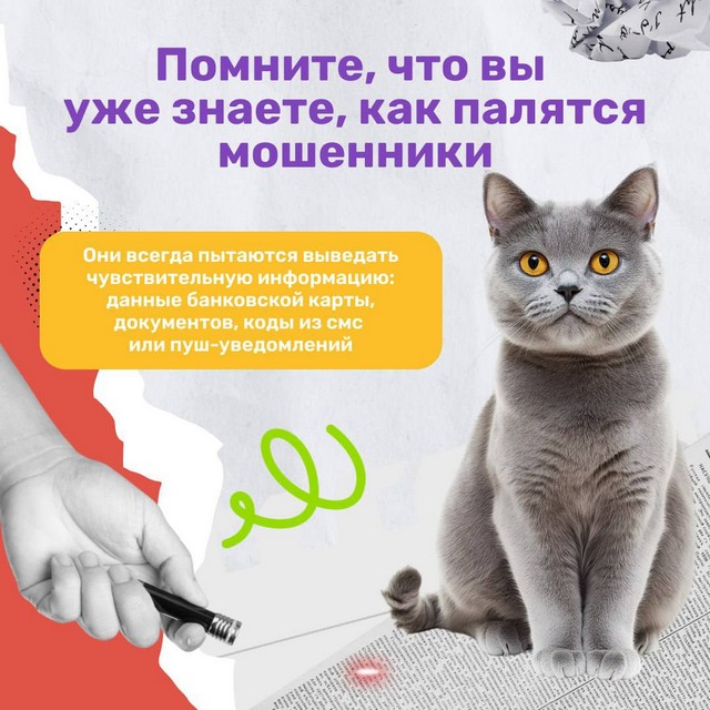 foto 2025 04 25 08 55 003