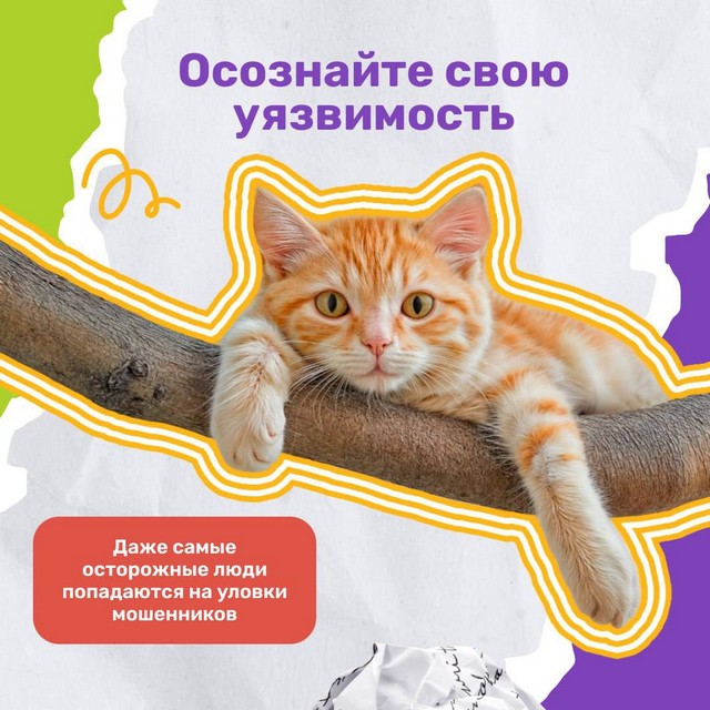 foto 2025 04 25 08 55 004