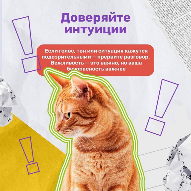 foto 2025 04 25 08 55 005