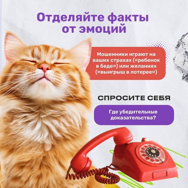 foto 2025 04 25 08 55 006