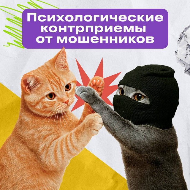 foto 2025 04 25 08 55 007