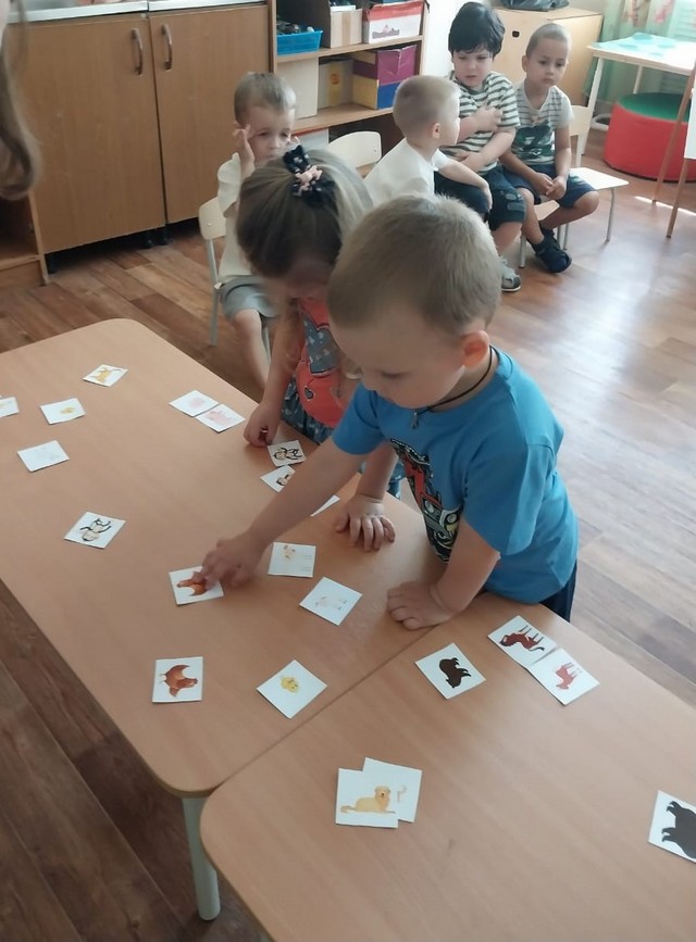 foto 2025 07 08 15 21 002