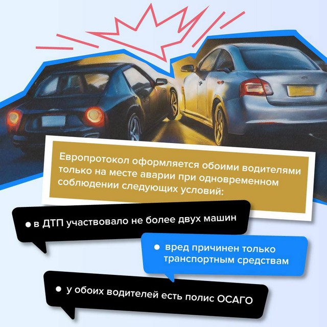 foto 2025 07 10 11 16 006